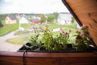 Виллы Guest House SARA Жабляк Вилла-28