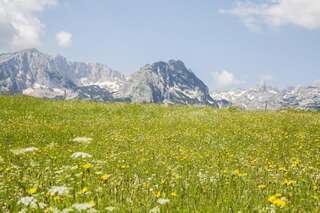 Виллы Guest House SARA Жабляк Вилла-43