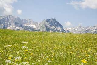 Виллы Guest House SARA Жабляк Вилла-9